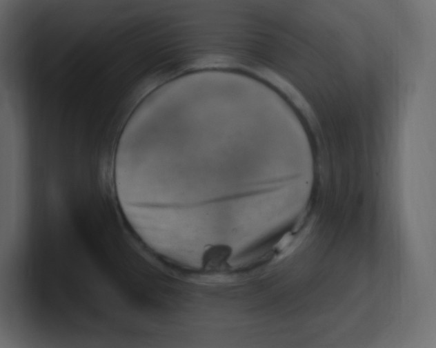 X0000100501337200807111135