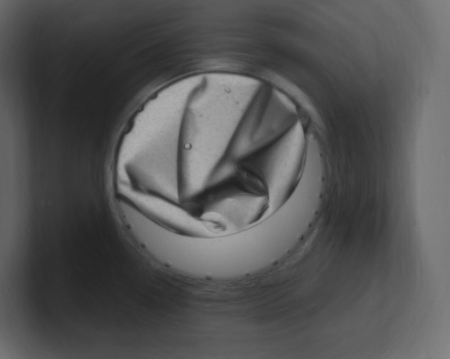 X0000100501338200807111135