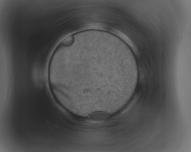 X0000100501339200807111135