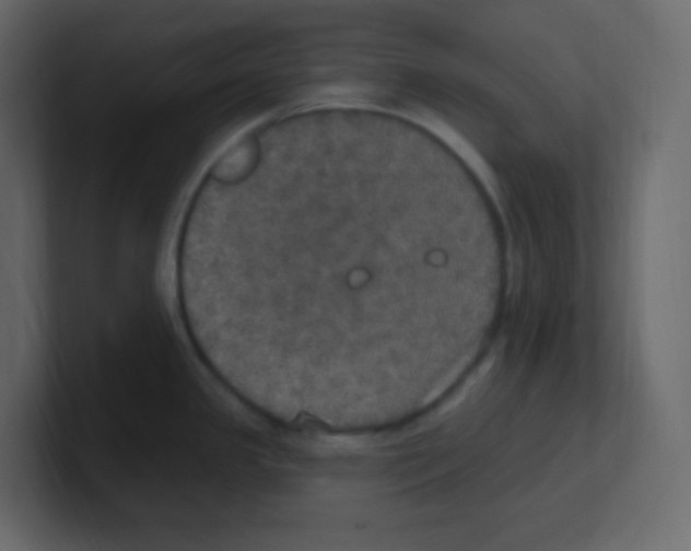 X0000100501341200807111135