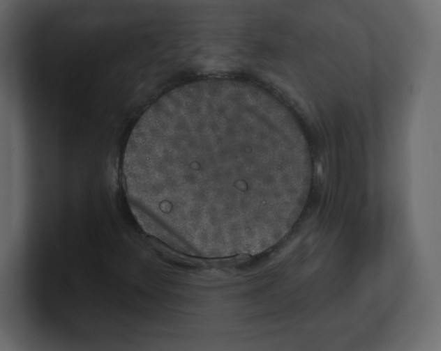 X0000100501348200807111135