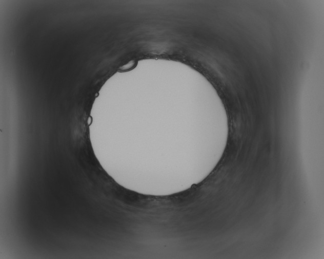 X0000100501349200807111135