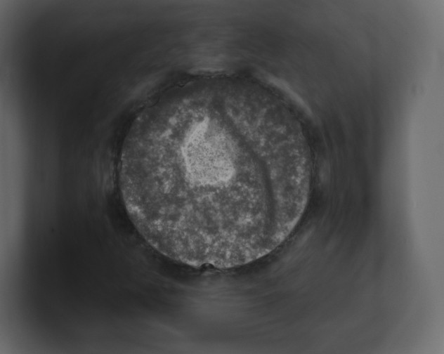 X0000100501350200807111135