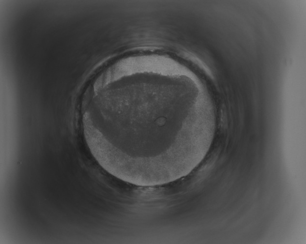 X0000100501352200807111135