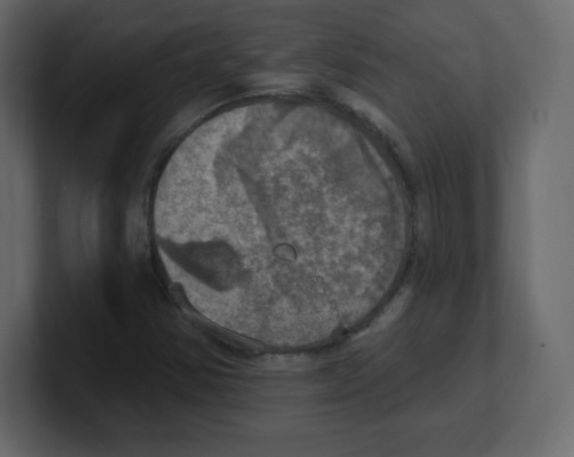 X0000100501354200807111134