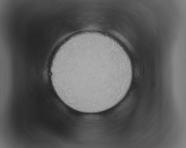 X0000100501356200807111134