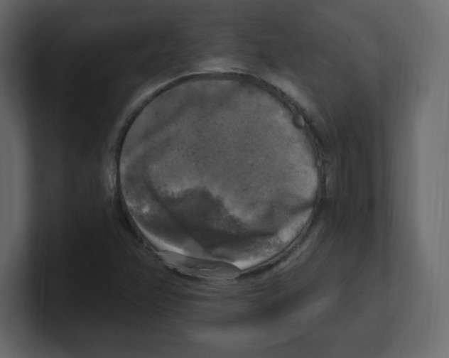 X0000100501358200807111134