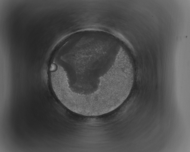 X0000100501360200807111134