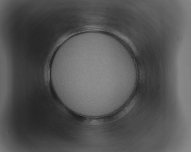 X0000100501365200807111134