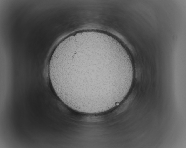 X0000100501366200807111134