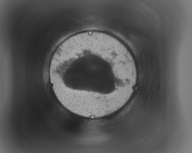 X0000100501367200807111134