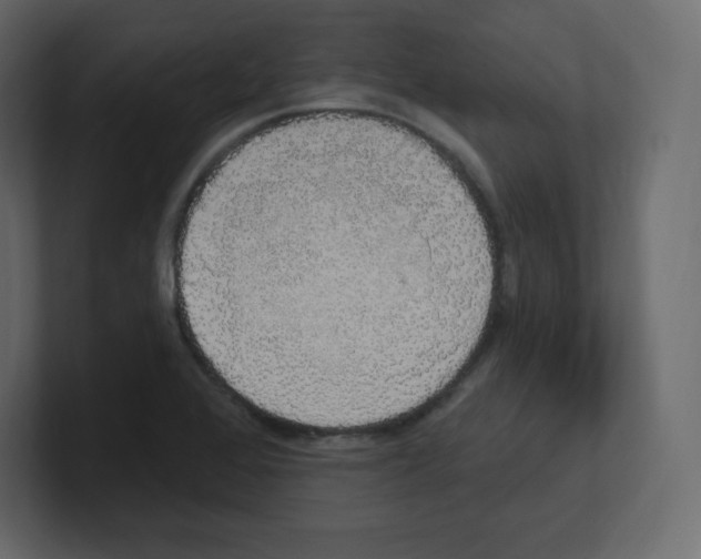 X0000100501368200807111134