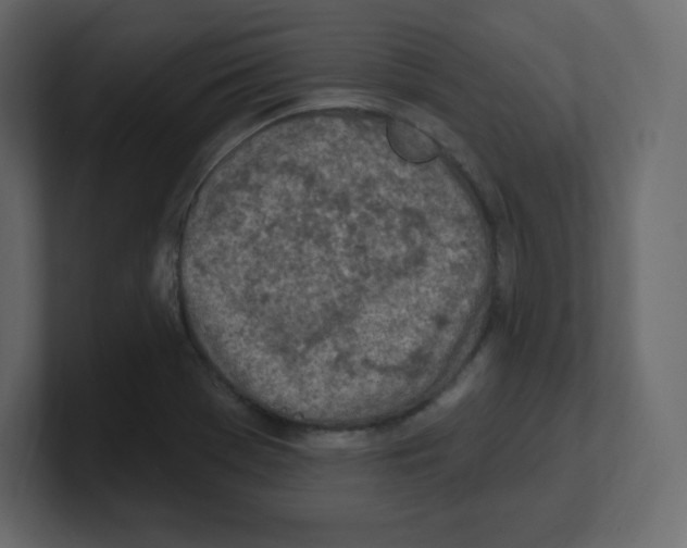 X0000100501369200807111134