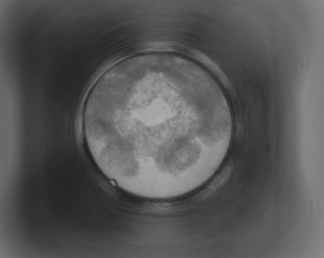 X0000100501370200807111134