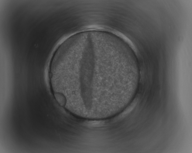 X0000100501373200807111134