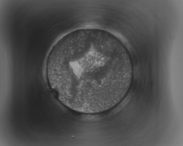 X0000100501374200807111134