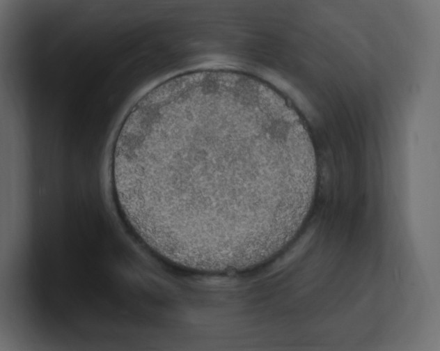 X0000100501375200807111134