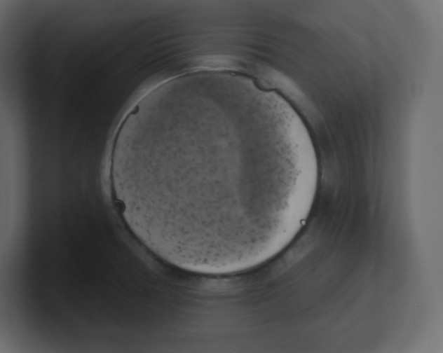 X0000100501378200807111134