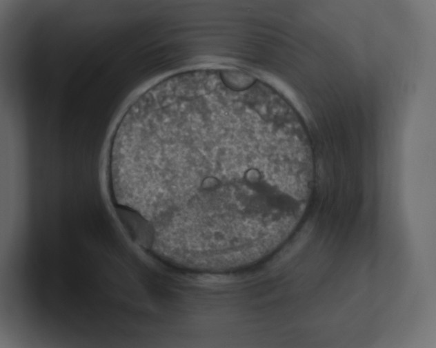 X0000100501379200807111134