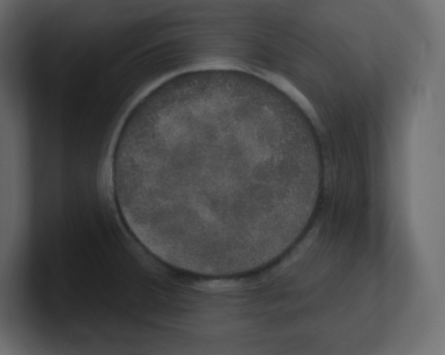 X0000100501380200807111134