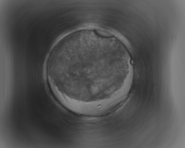 X0000100501382200807111134