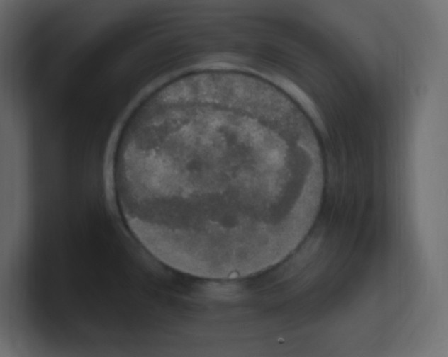 X0000100501384200807111134