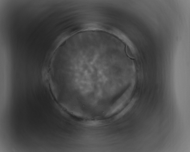 X0000100501385200807111134