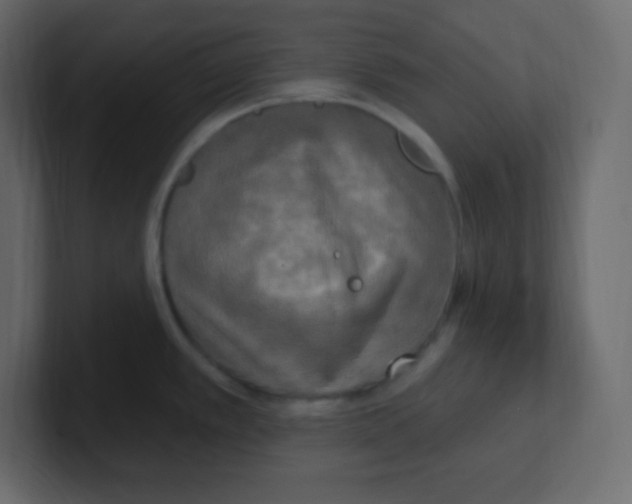 X0000100501389200807111134