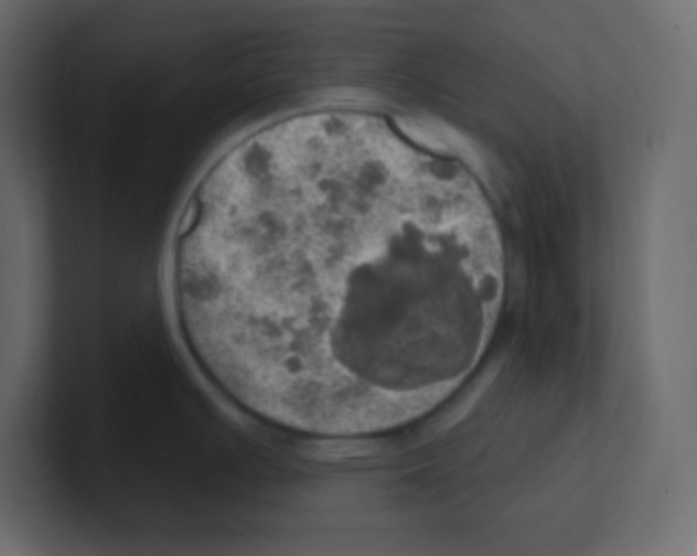 X0000100501391200807111134