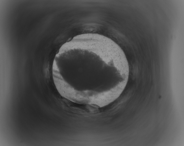 X0000100501394200807111133