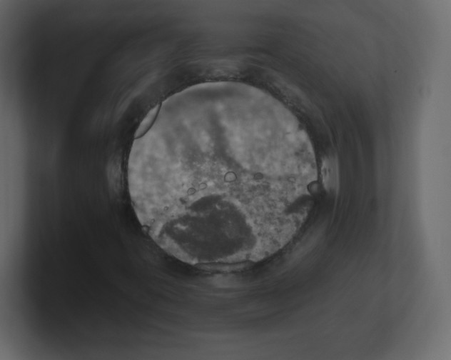 X0000100501395200807111133