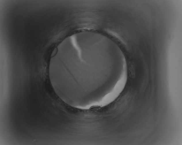 X0000100501399200807111133