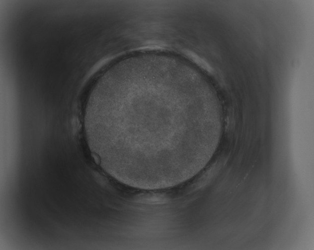 X0000100501400200807111133