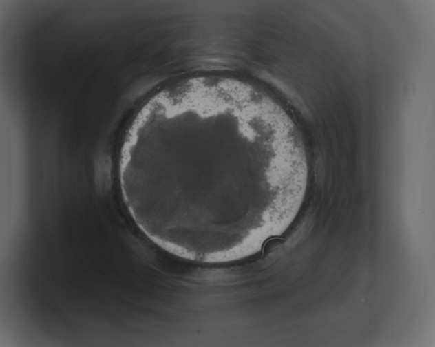 X0000100501402200807111133