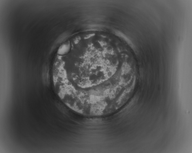 X0000100501403200807111133