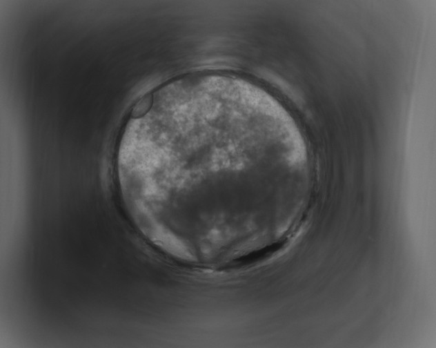 X0000100501405200807111134