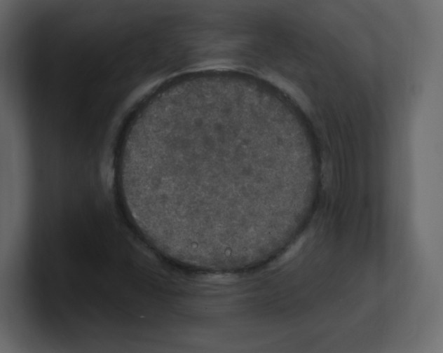 X0000100501406200807111134