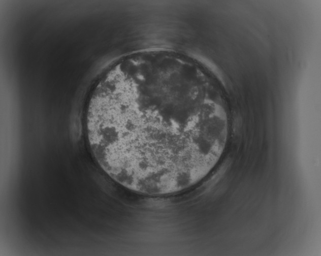 X0000100501407200807111134