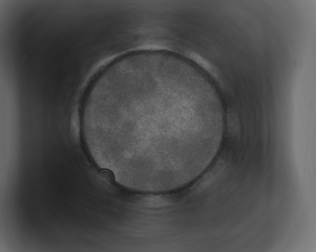 X0000100501408200807111134