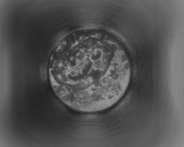 X0000100501409200807111134