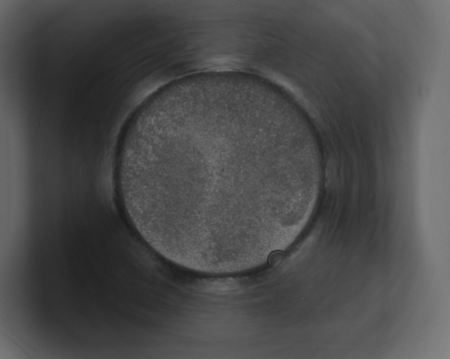 X0000100501410200807111134