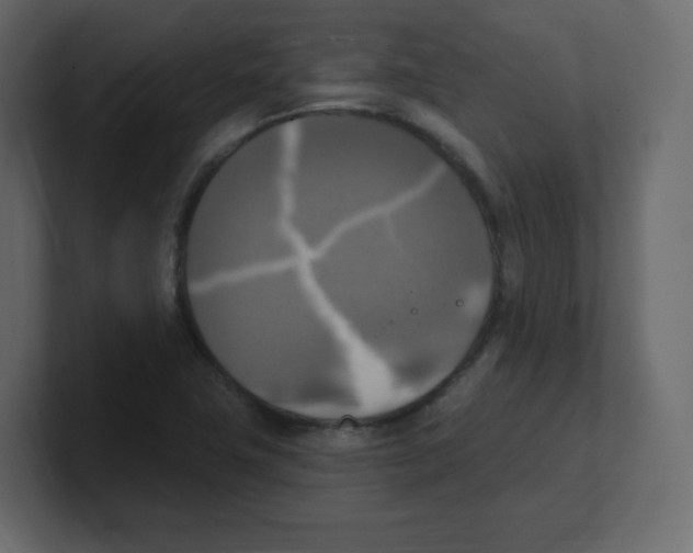 X0000100501411200807111134