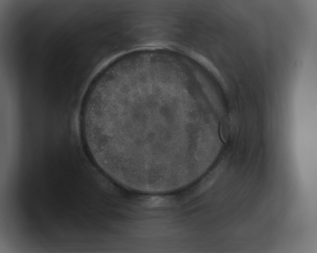 X0000100501412200807111134