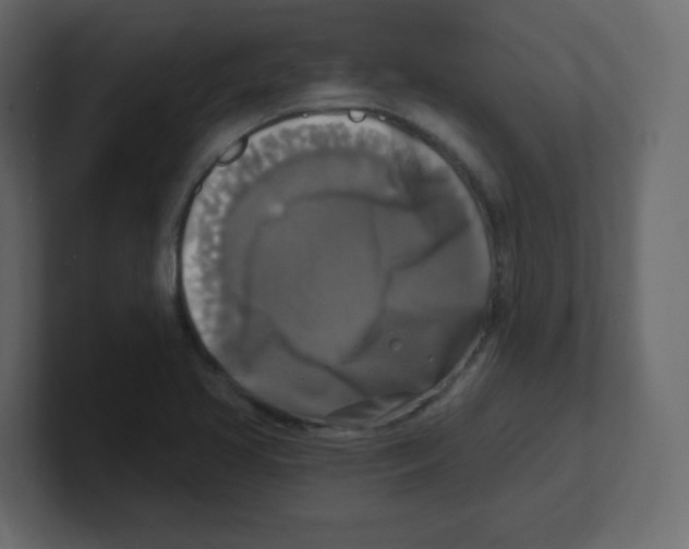 X0000100501413200807111134