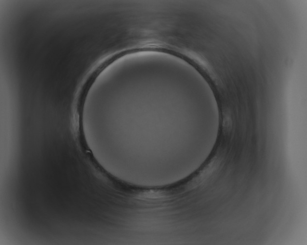 X0000100501414200807111134