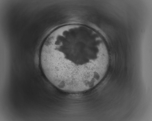 X0000100501415200807111134