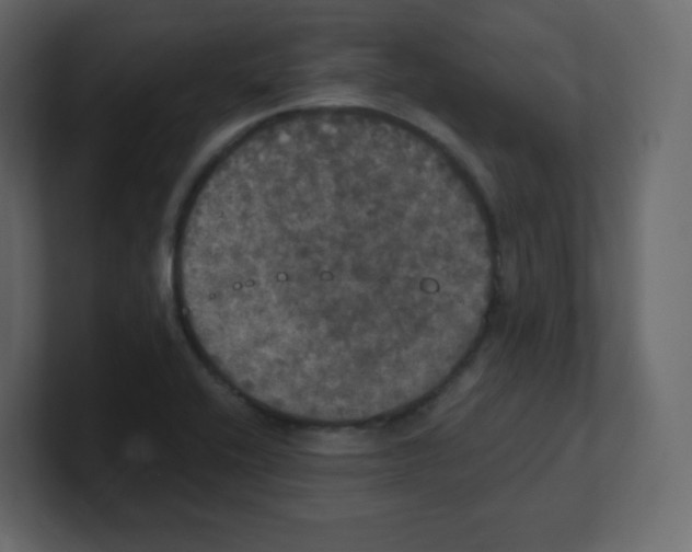 X0000100501416200807111134