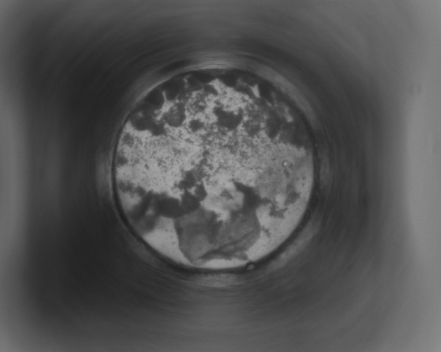 X0000100501417200807111134