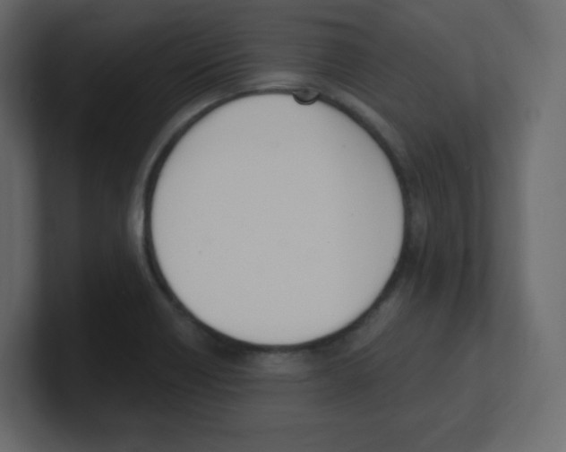 X0000100501418200807111134