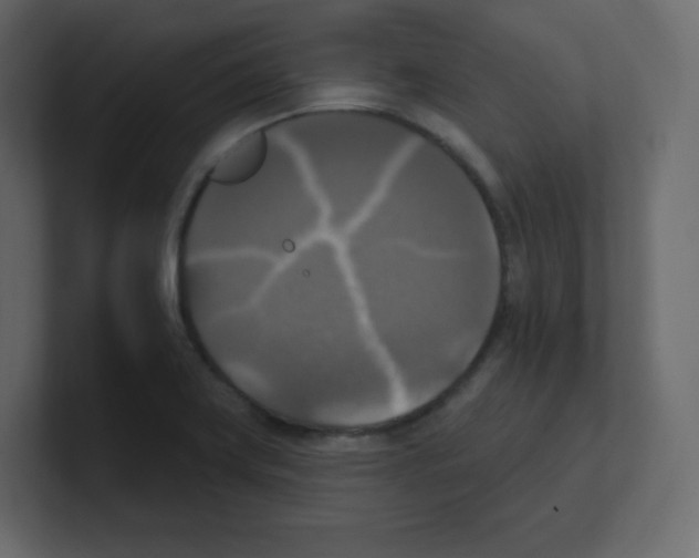 X0000100501419200807111134